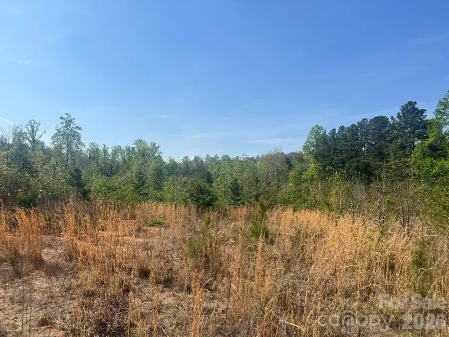 6374 Peniel Road, Tryon, NC 28782 - #2