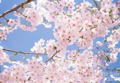 18736 Nautical Drive #305, Cornelius, NC 28031