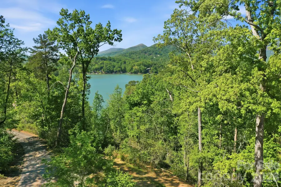 131 Pier Point Drive, Lake Lure, NC 28746 - #2