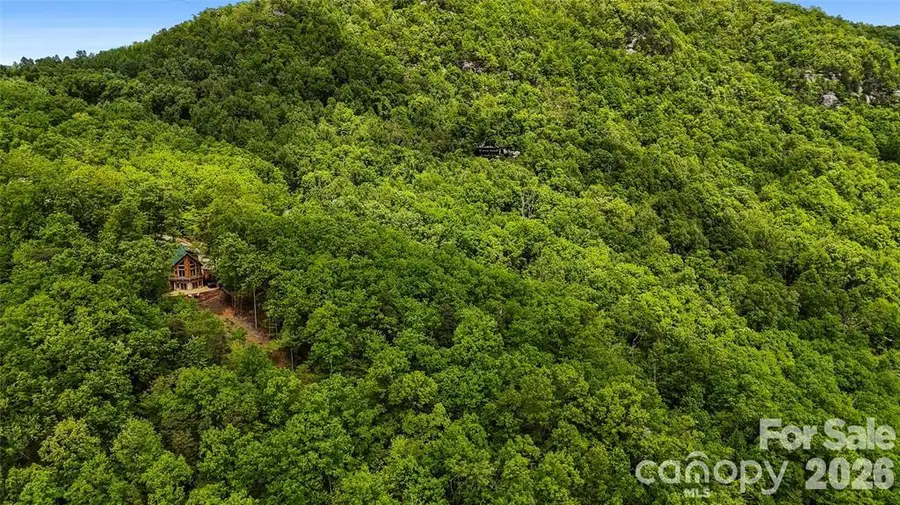 153 Chetan Way, Lake Lure, NC 28746 - #3