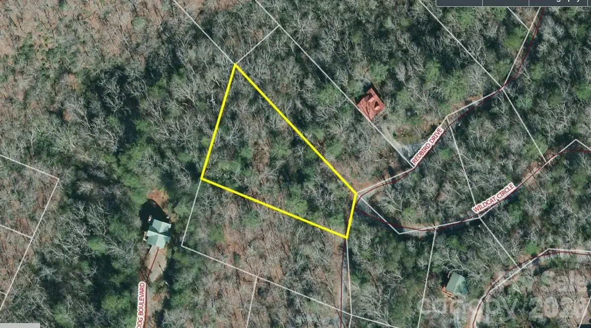 178 Redbird Drive, Lake Lure, NC 28746 - #1