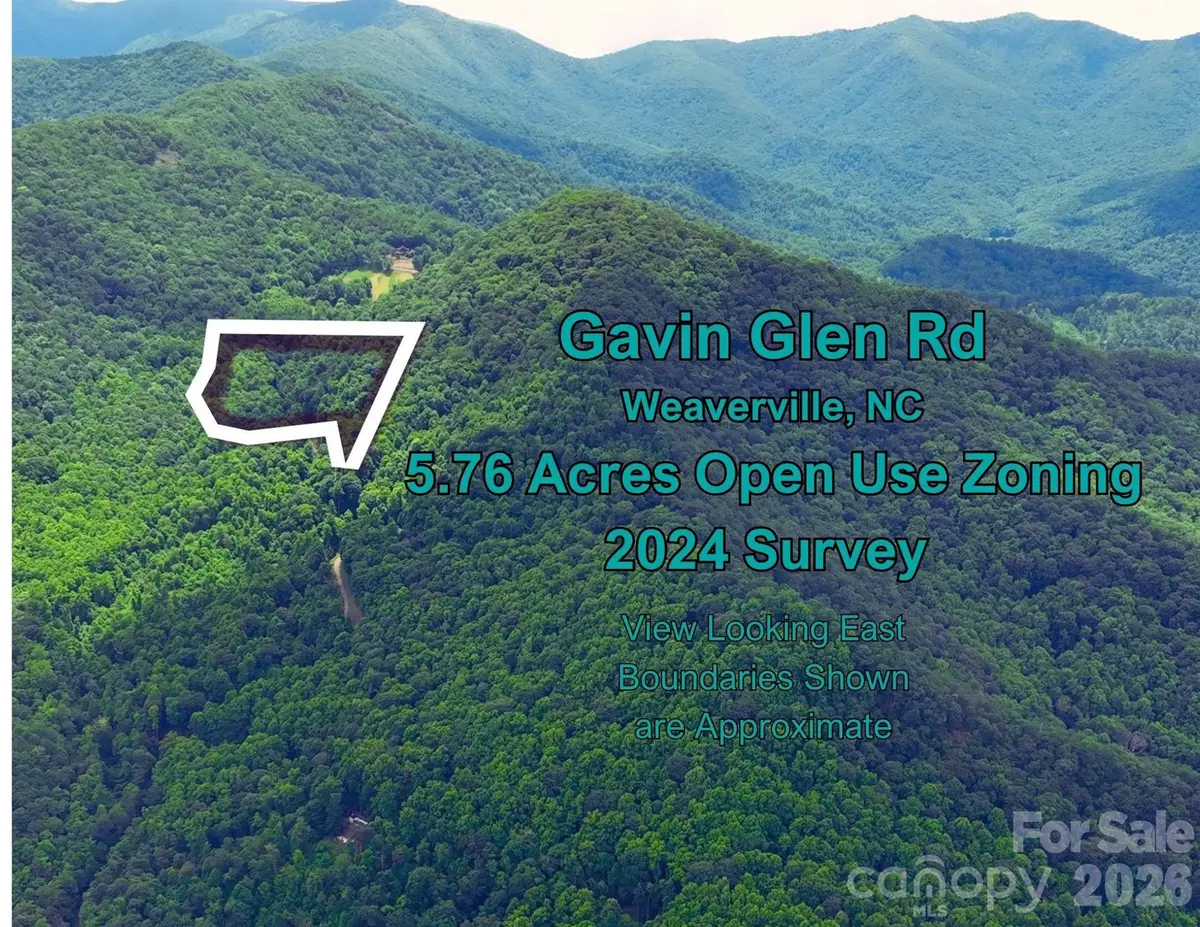 130 Gavin Glenn Road, Weaverville, NC 28787 - #1