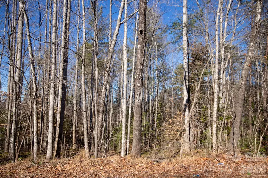 35.92 Acres Harrisburg Drive, Lenoir, NC 28645 - #2