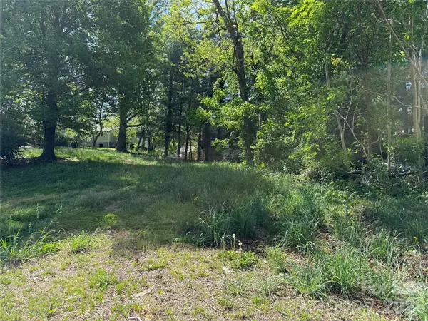 Lot 108 Mace Avenue, Asheville, NC 28806