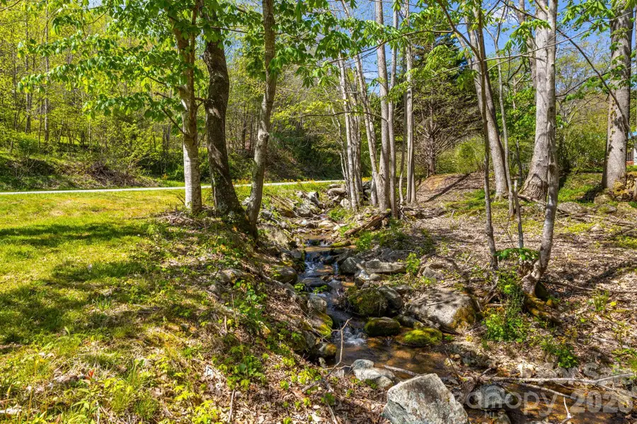 874 & 888 Bluff Mountain Road, Hot Springs, NC 28743 - #2