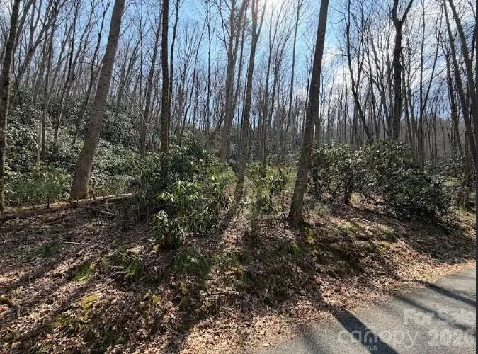 TBD Coyote Hollow Road #66, Waynesville, NC 28785 - #1