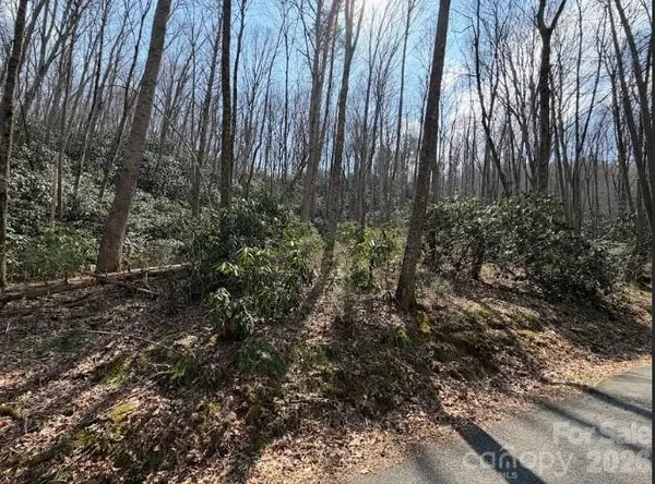 TBD Coyote Hollow Road #66, Waynesville, NC 28785
