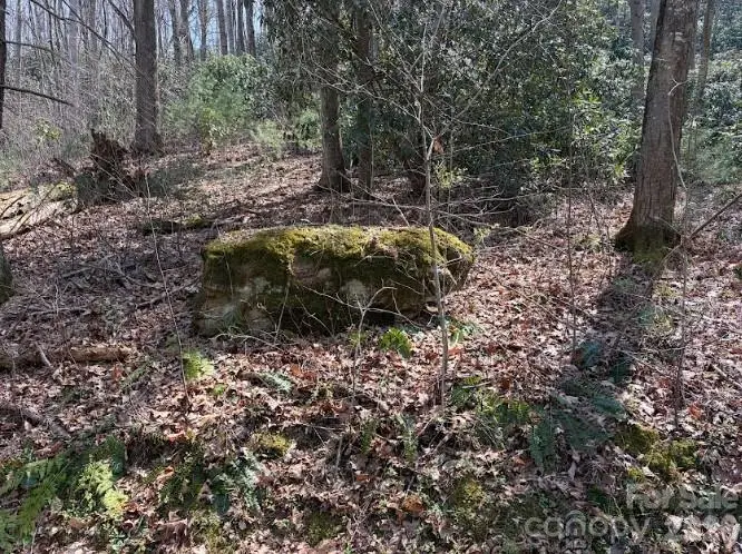 TBD Coyote Hollow Road #66, Waynesville, NC 28785 - #3