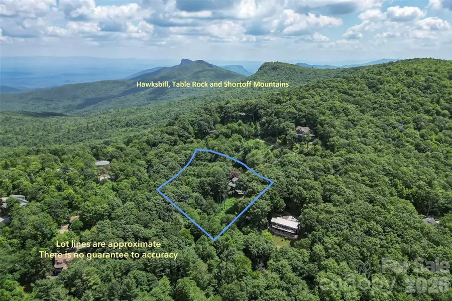 7109 Grandview Extension, Newland, NC 28657 - #3