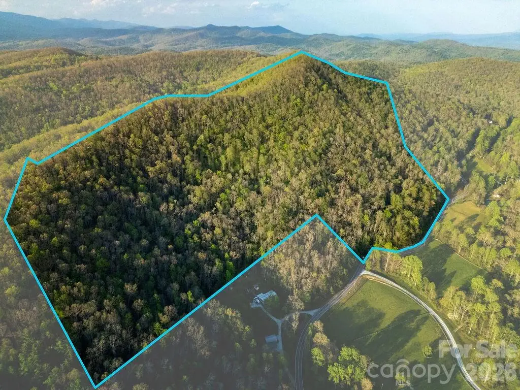 Off Diamond Creek Road, Lake Toxaway, NC 28747 - #1