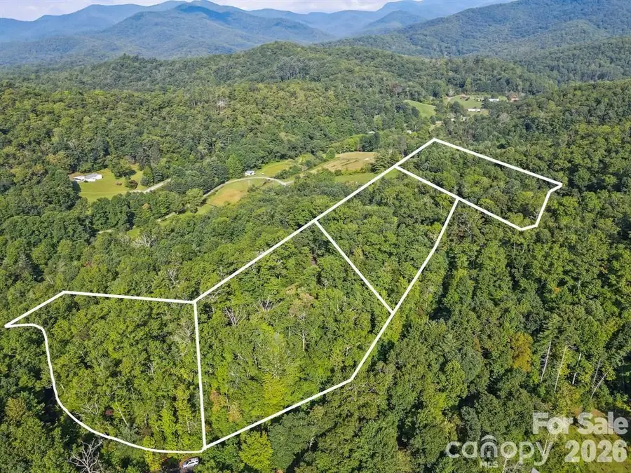 TBD Barts Branch Drive #14, Balsam Grove, NC 28708 - #3