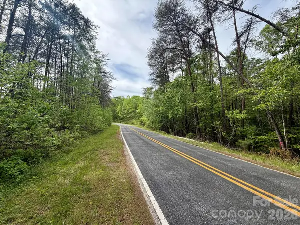 0 Polk County Line Road, Rutherfordton, NC 28139