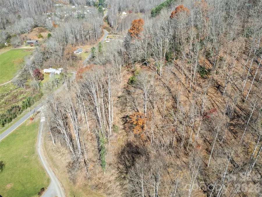 Tract 3: Lot 4 White Birch Drive, Sylva, NC 28779 - #3