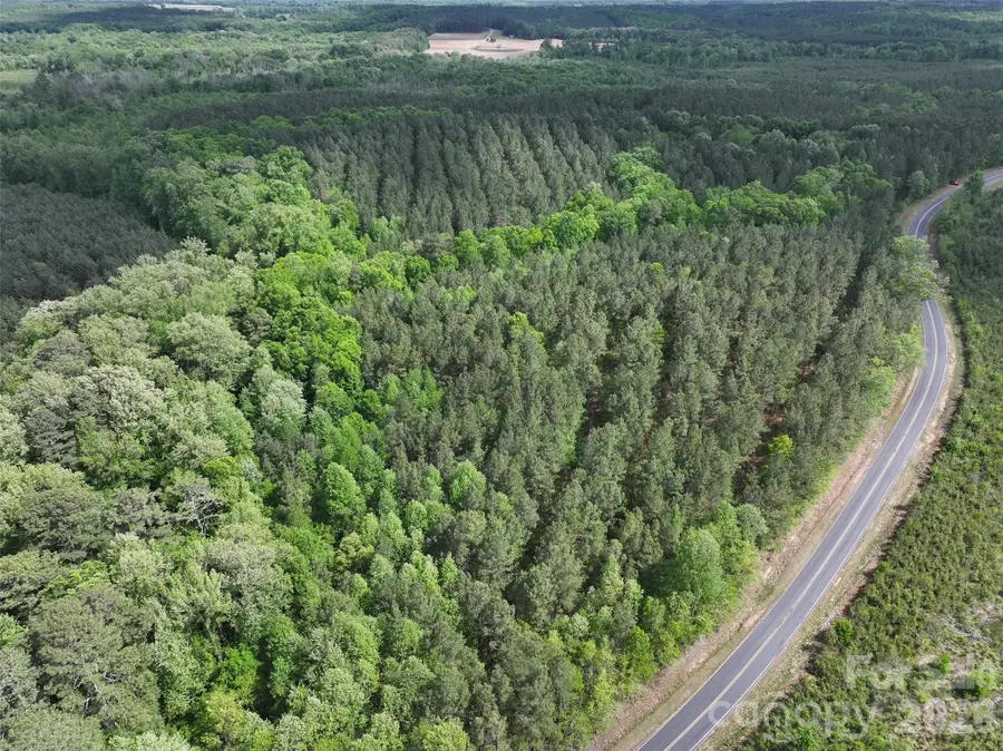 TBD Horne Town Road, Polkton, NC 28135 - #3