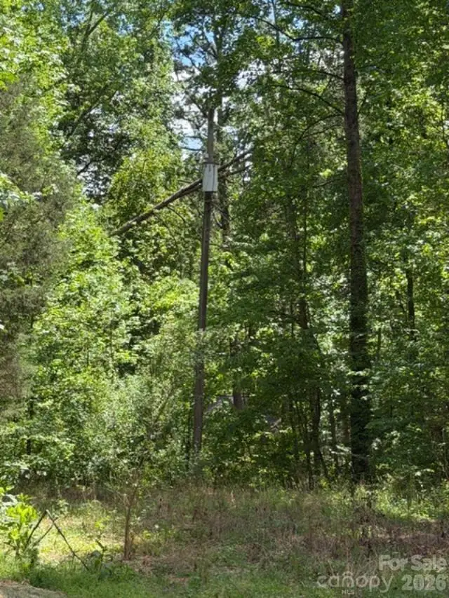 0000 Faith Road, Mooresville, NC 28115 - #3