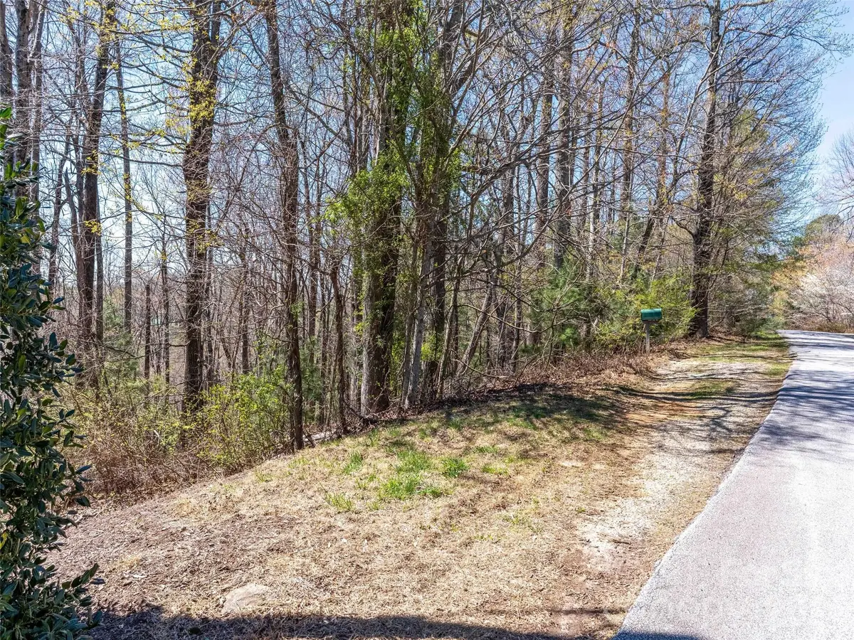 000 Glen Echo Circle, Saluda, NC 28773 - #1