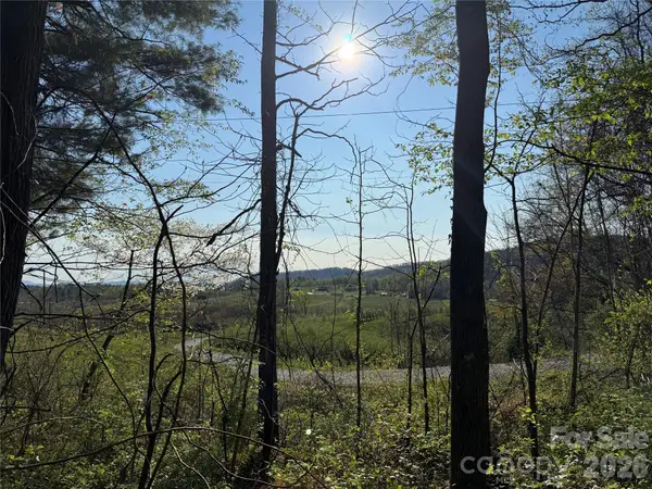 000 Woodlyn Etch Drive, Hendersonville, NC 28792