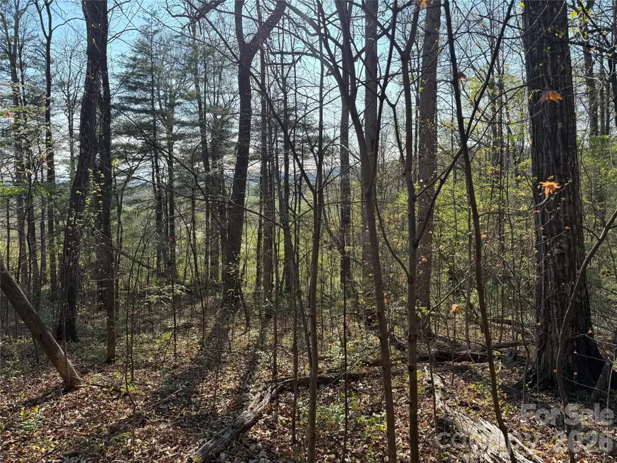 000 Woodlyn Etch Drive, Hendersonville, NC 28792 - #2