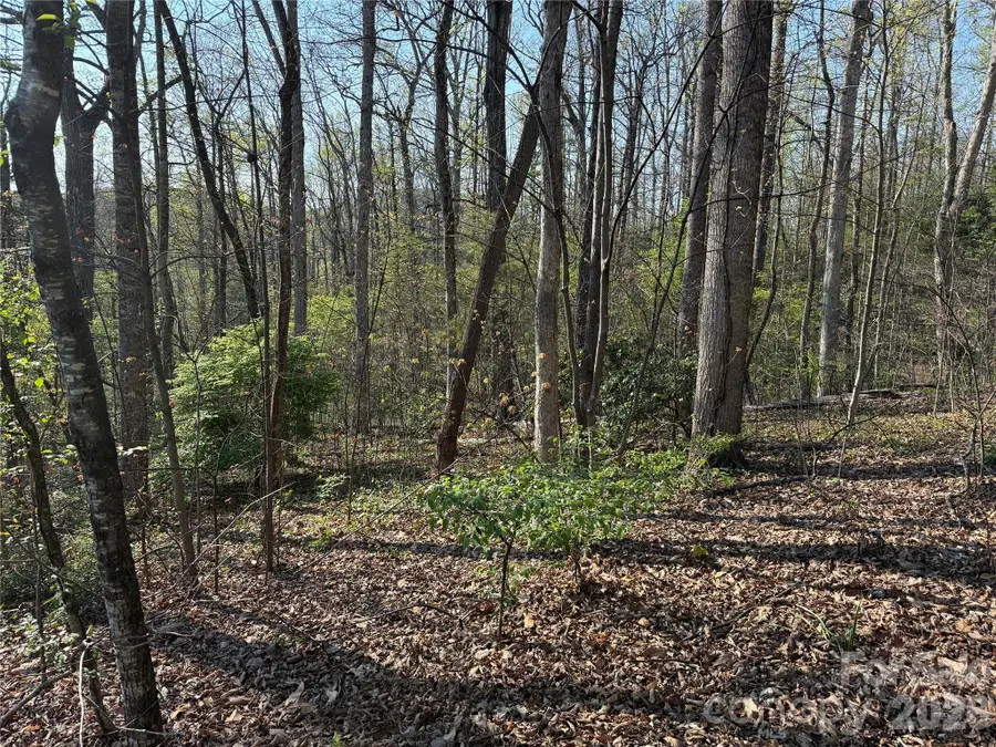 000 Woodlyn Etch Drive, Hendersonville, NC 28792 - #3