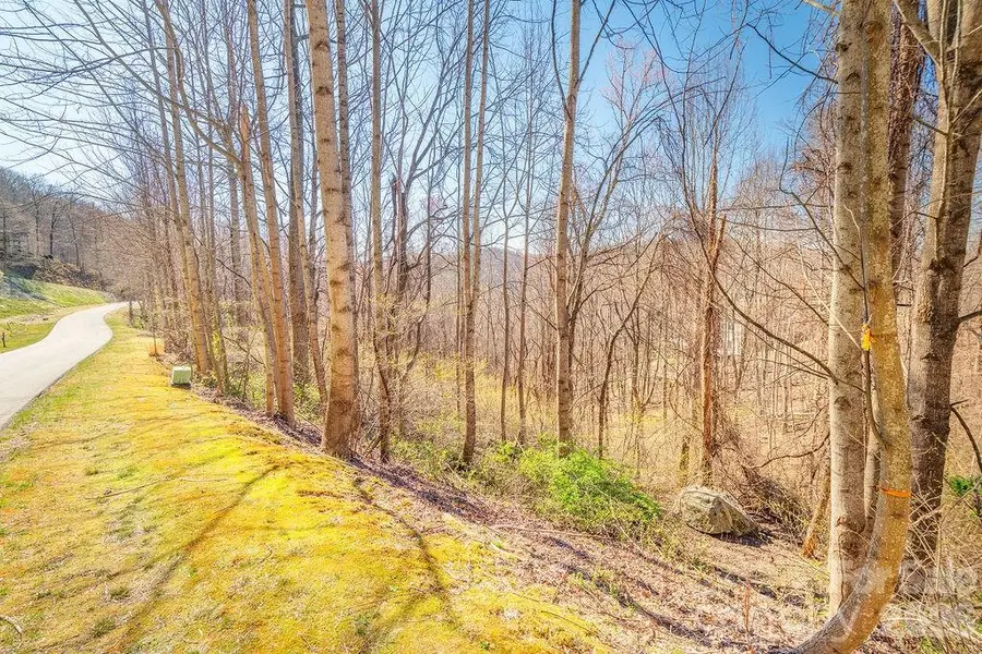 461 Somersby Parkway, Hendersonville, NC 28739 - #2