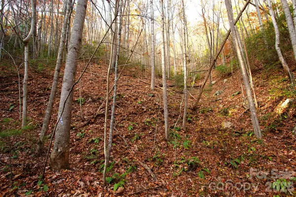 TBD Rector Branch Road #4, Marshall, NC 28743