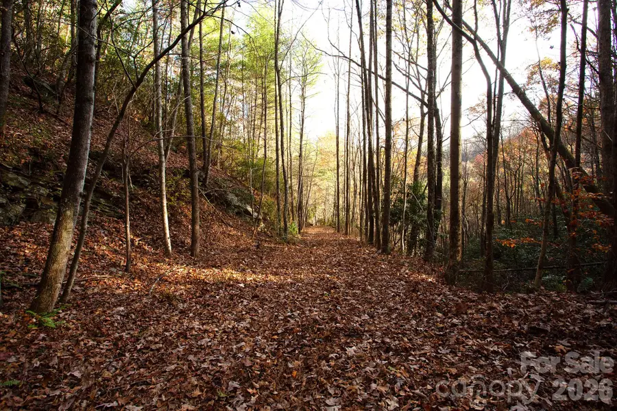 TBD Rector Branch Road #4, 5 Walnut, NC 28743 - #2