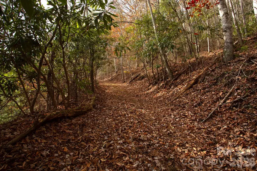 TBD Rector Branch Road #4, 5 Walnut, NC 28743 - #3