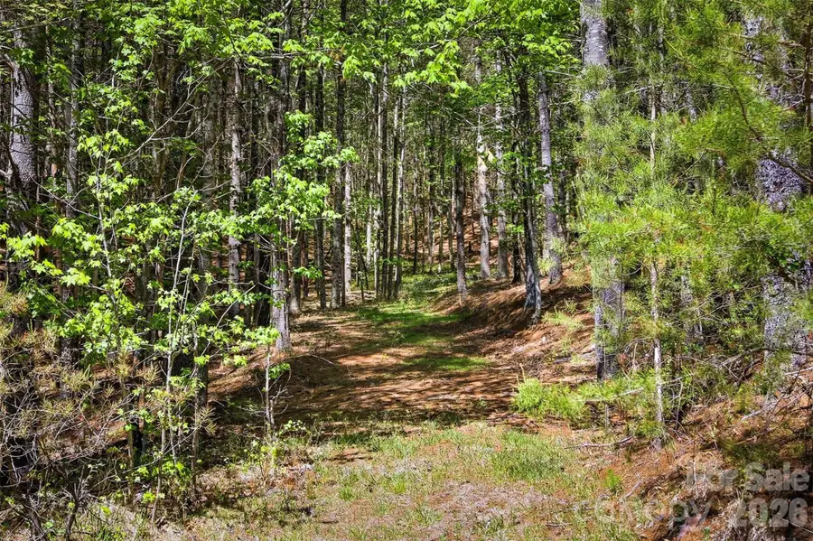 146 Bream Flats Drive #40, Nebo, NC 28761 - #2