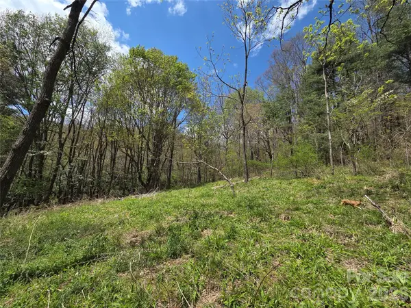 0 Robinson Creek Road, Glenville, NC 28736