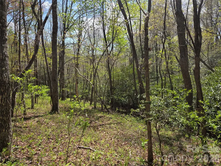 0 Robinson Creek Road, Glenville, NC 28736 - #3