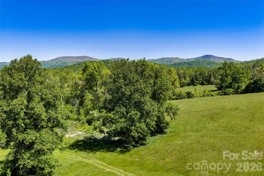 99999 Sugar Hollow Road, Fairview, NC 28730 - #3