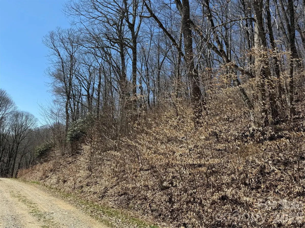 000 Granny Shepherd Road #Lot 2, Mars Hill, NC 28754 - #1