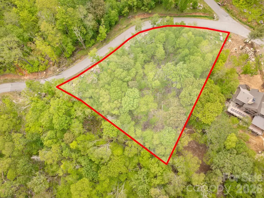 ES-21 Eagle Springs Trail, Banner Elk, NC 28604 - #3