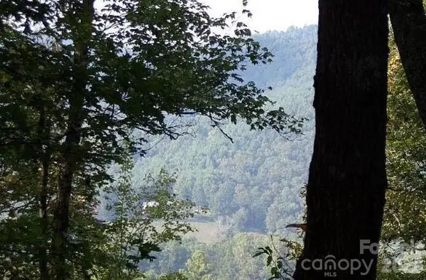 100 Black Bear Ridge Trail, Zirconia, NC 28790