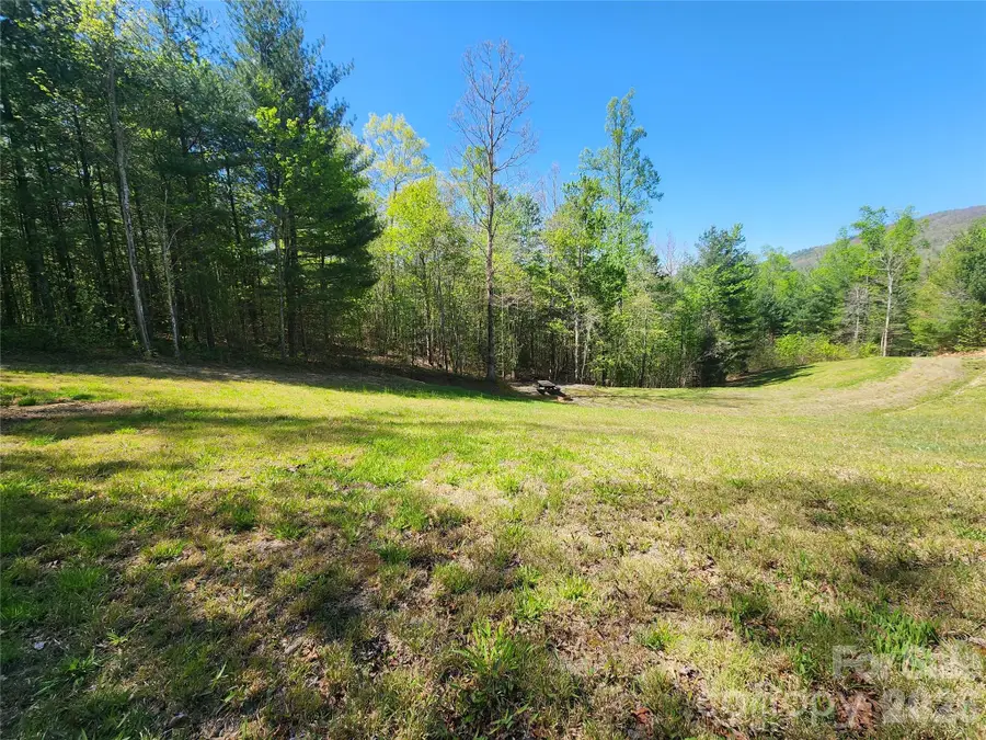 889 Firefly Trail, Marshall, NC 28753 - #3