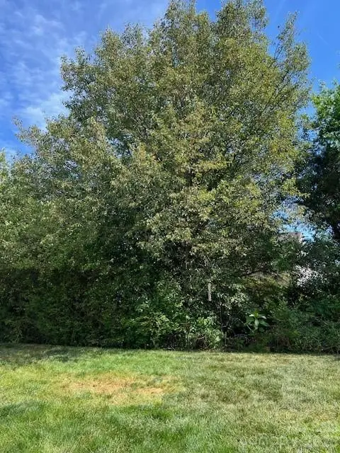 11216 White Stag Drive, Charlotte, NC 28269 - #2