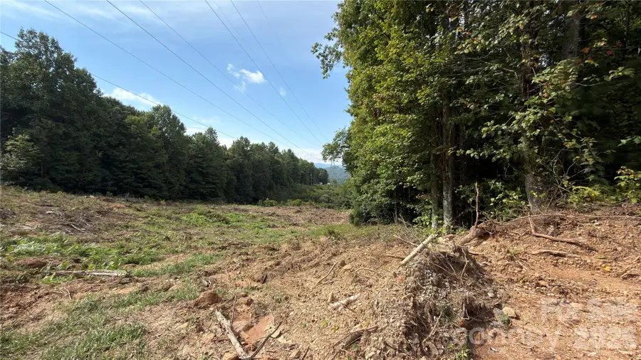 1730 Fox Hollow Road, Pisgah Forest, NC 28768 - #2