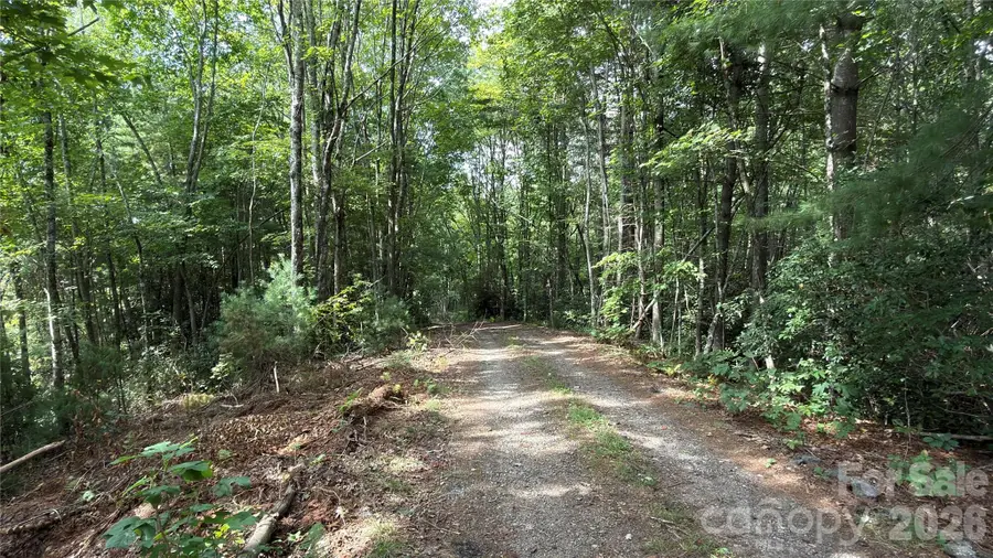 1730 Fox Hollow Road, Pisgah Forest, NC 28768 - #3