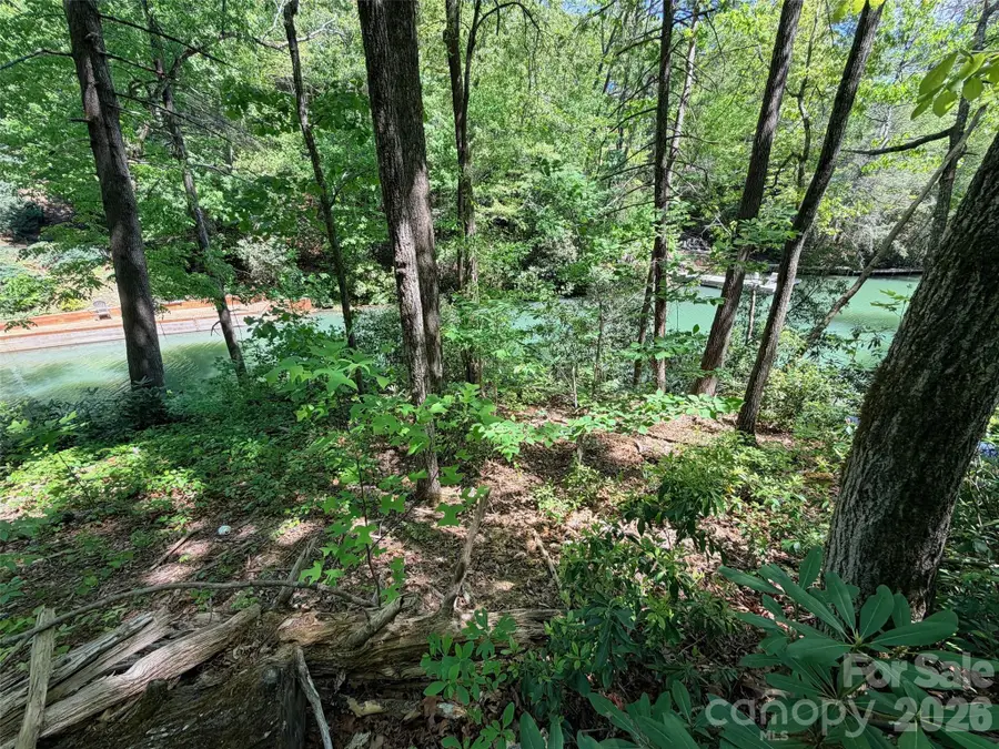 595 Quail Ridge Boulevard, Lake Lure, NC 28746 - #3
