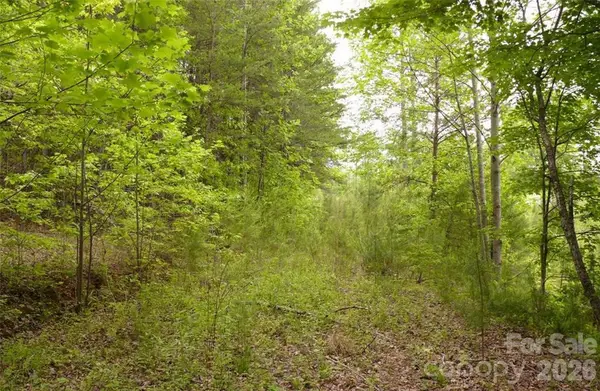 0 Vineyards Way #14, Lake Lure, NC 28746