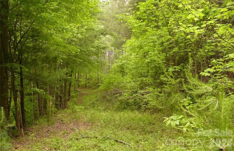 0 Vineyards Way #14, Lake Lure, NC 28746 - #2