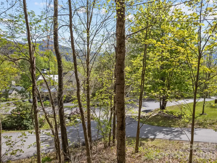 00 Presidential Drive, Waynesville, NC 28786 - #3