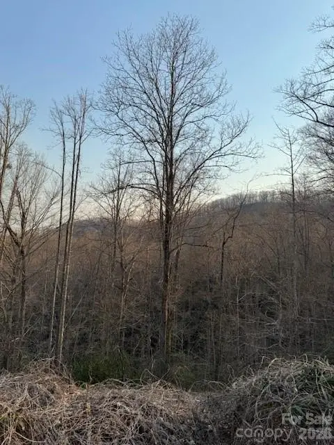 910 Morgan Hill Road, Black Mountain, NC 28711