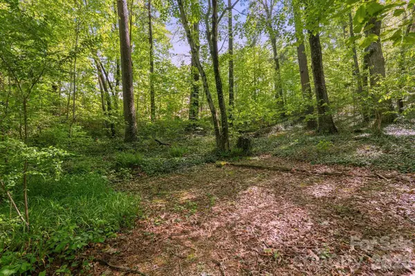 000 Skyline Drive #17, Hendersonville, NC 28791