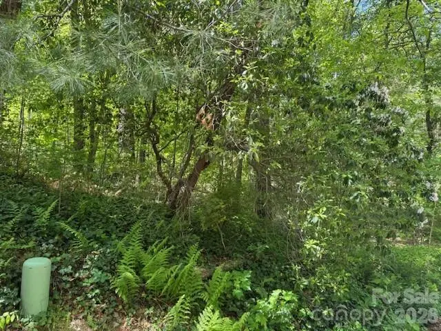 000 Skyline Drive #17, Hendersonville, NC 28791 - #3