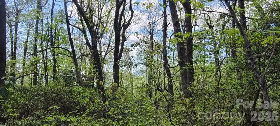 102 High Cliffs Trail, Black Mountain, NC 28711 - #3