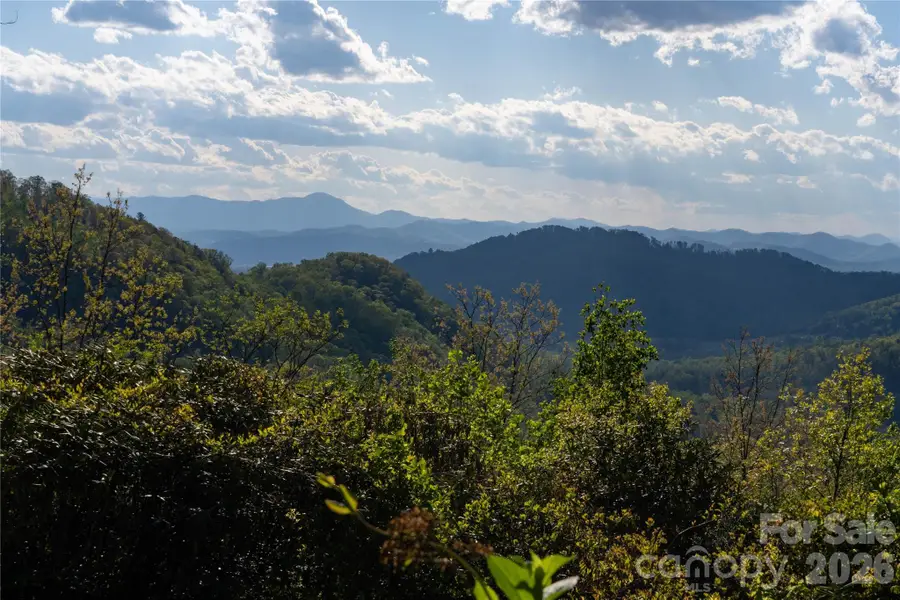 1412 N Bearwallow Road, Fletcher, NC 28732 - #2