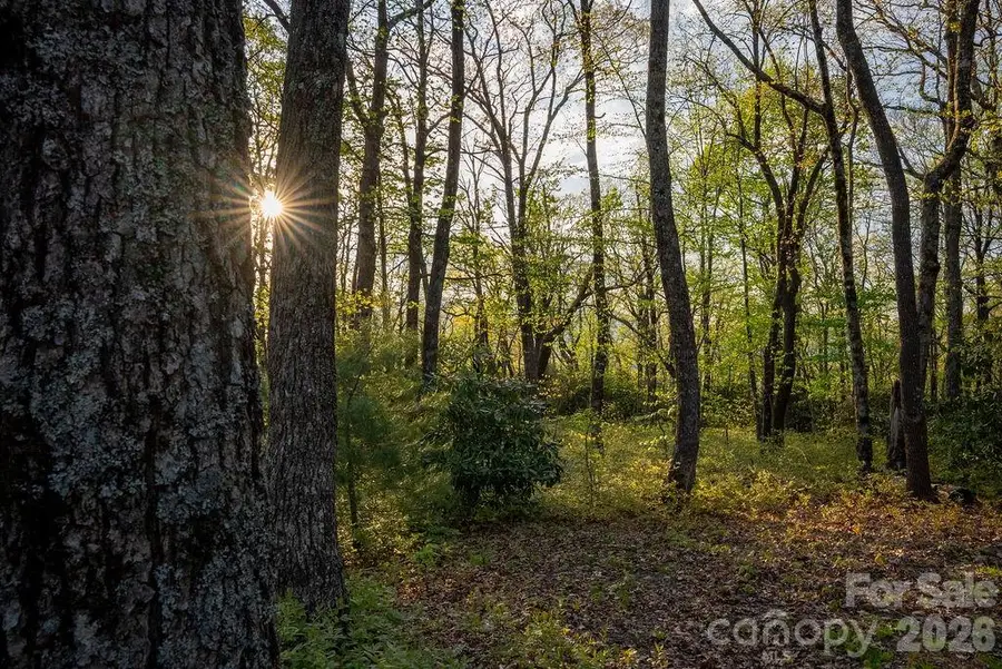 175 Skyview Road #L-5, Lake Toxaway, NC 28747 - #3