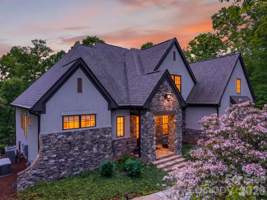 671 Mills River Way, Horse Shoe, NC 28742 - #2