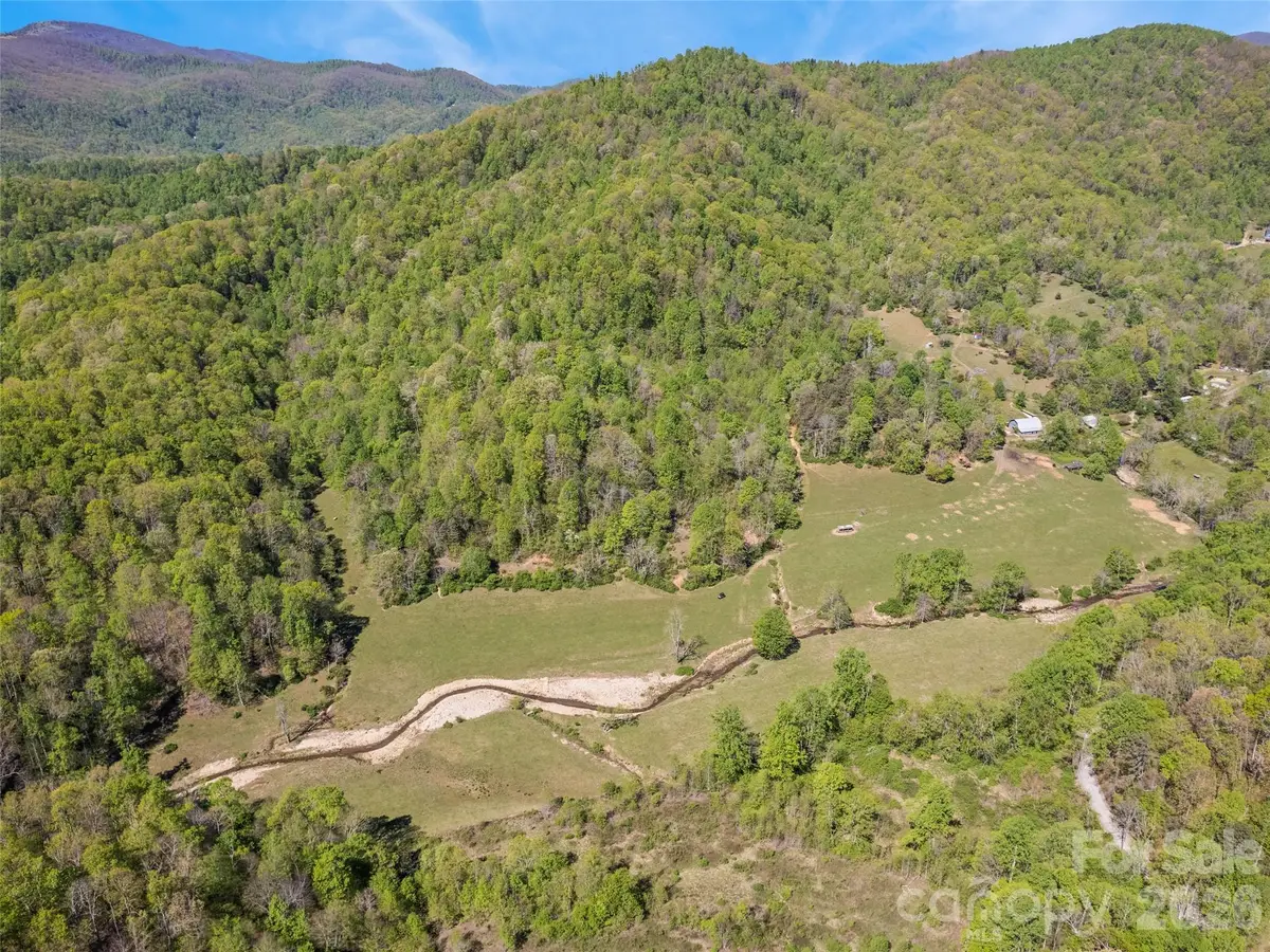 1372 Sand Branch Road, Black Mountain, NC 28711 - #1